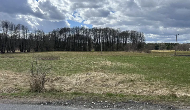 Działka budowlana Złotoria, ul. Lipowa