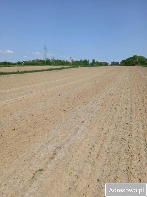 Działka budowlana Stara Słupia. Zdjęcie 6