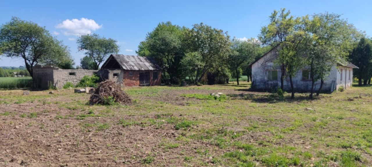Działka siedliskowa Płonka-Kolonia. Zdjęcie 4