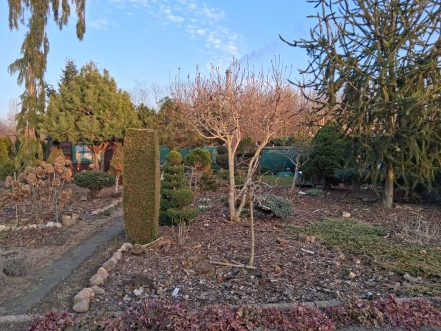 Działka rod Żychlin. Zdjęcie 1