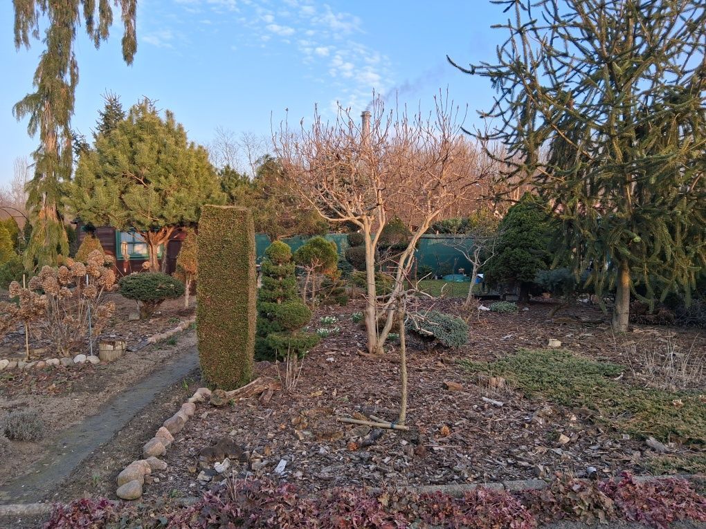 Działka rod Żychlin