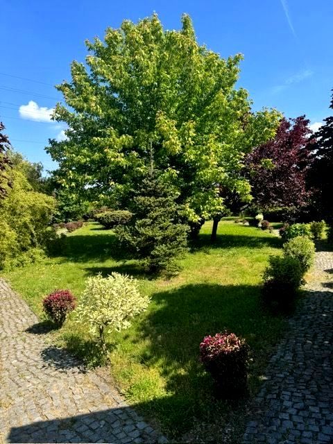 Działka budowlana Gliwice Bojków, ul. Żurawinowa. Zdjęcie 3