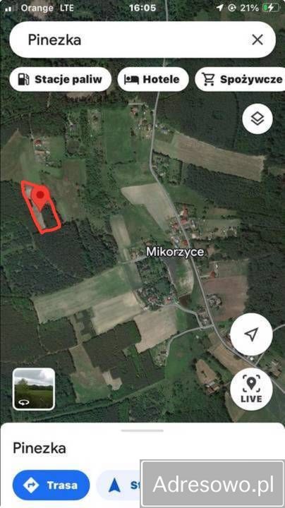 Działka siedliskowa Mikorzyce. Zdjęcie 2