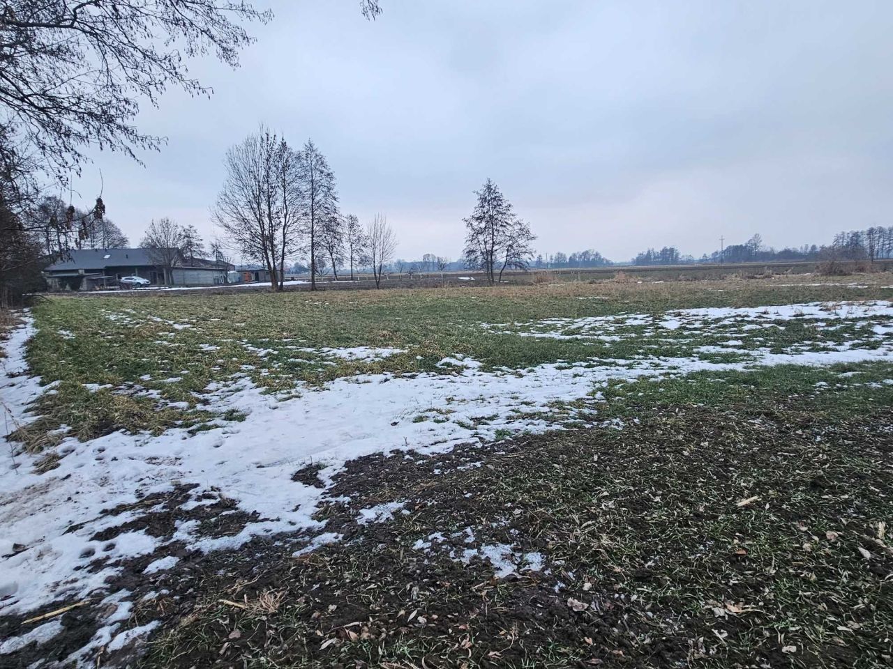 Działka rolno-budowlana Góra. Zdjęcie 5