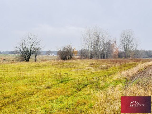 Działka rekreacyjna Nowy Adamów. Zdjęcie 14