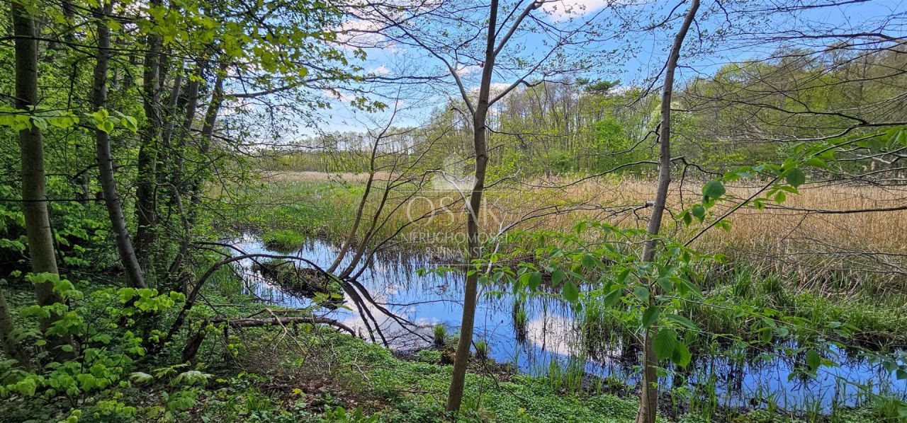 Działka Resko. Zdjęcie 3