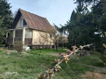 Działka rod Płock, ul. Jaworowa. Zdjęcie 1
