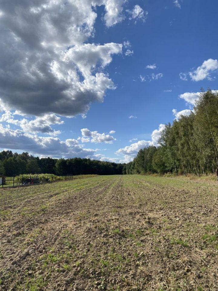 Działka rolno-budowlana Wierzchowisko. Zdjęcie 3