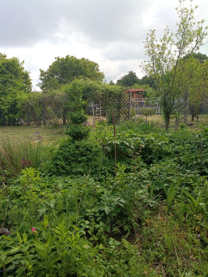 Działka rekreacyjna Zimowiska, Brak. Zdjęcie 1