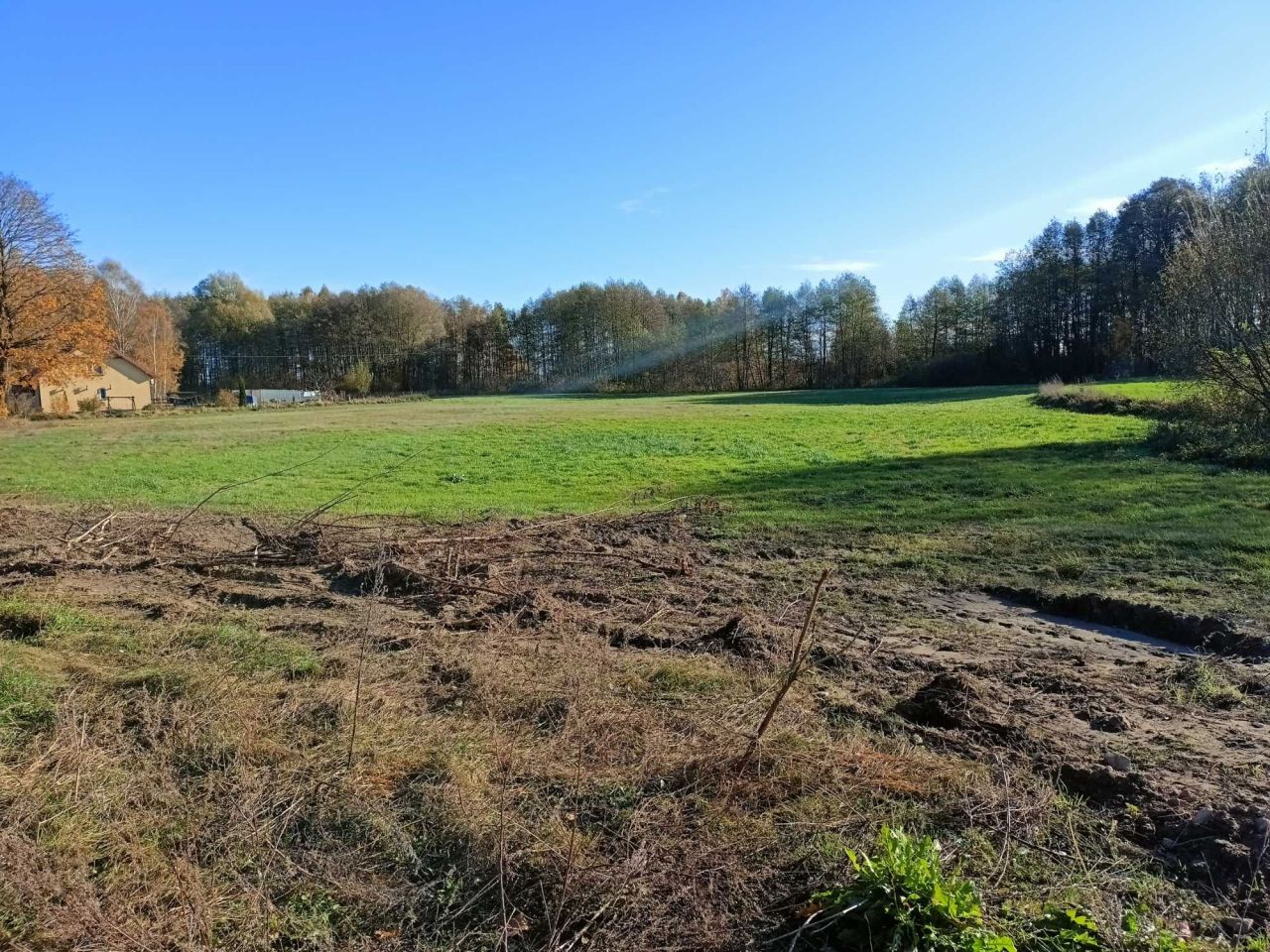 Działka inna Tomaszewo. Zdjęcie 3