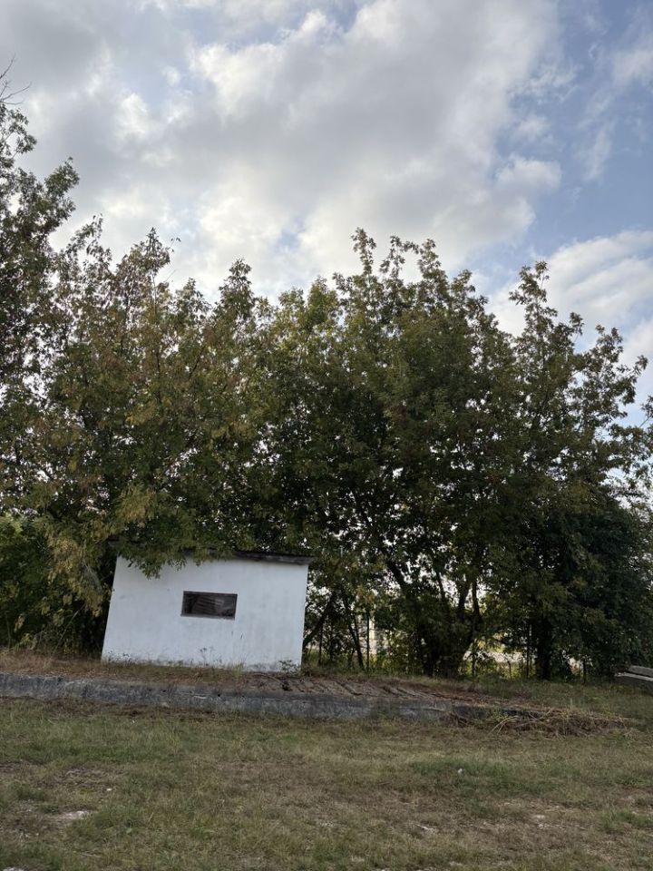 Działka inwestycyjna Zawichost. Zdjęcie 6