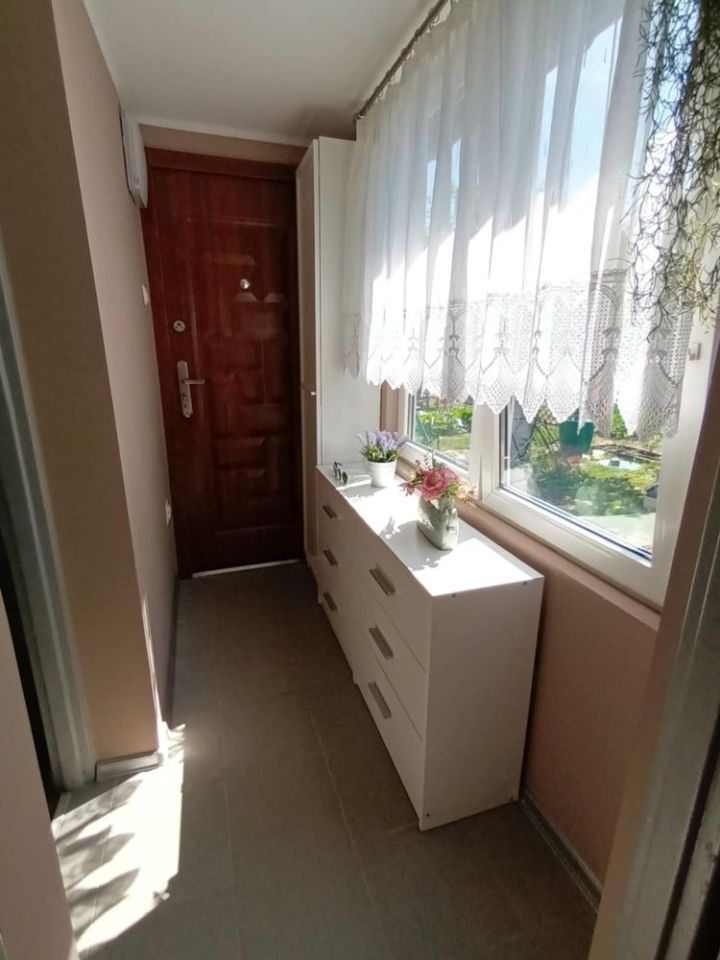 Działka rod Wolsztyn. Zdjęcie 4