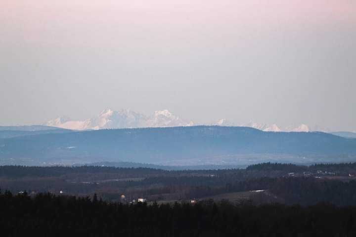 Działka rolno-budowlana Januszkowice. Zdjęcie 3