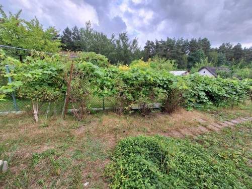 Działka rod Olsztyn. Zdjęcie 6