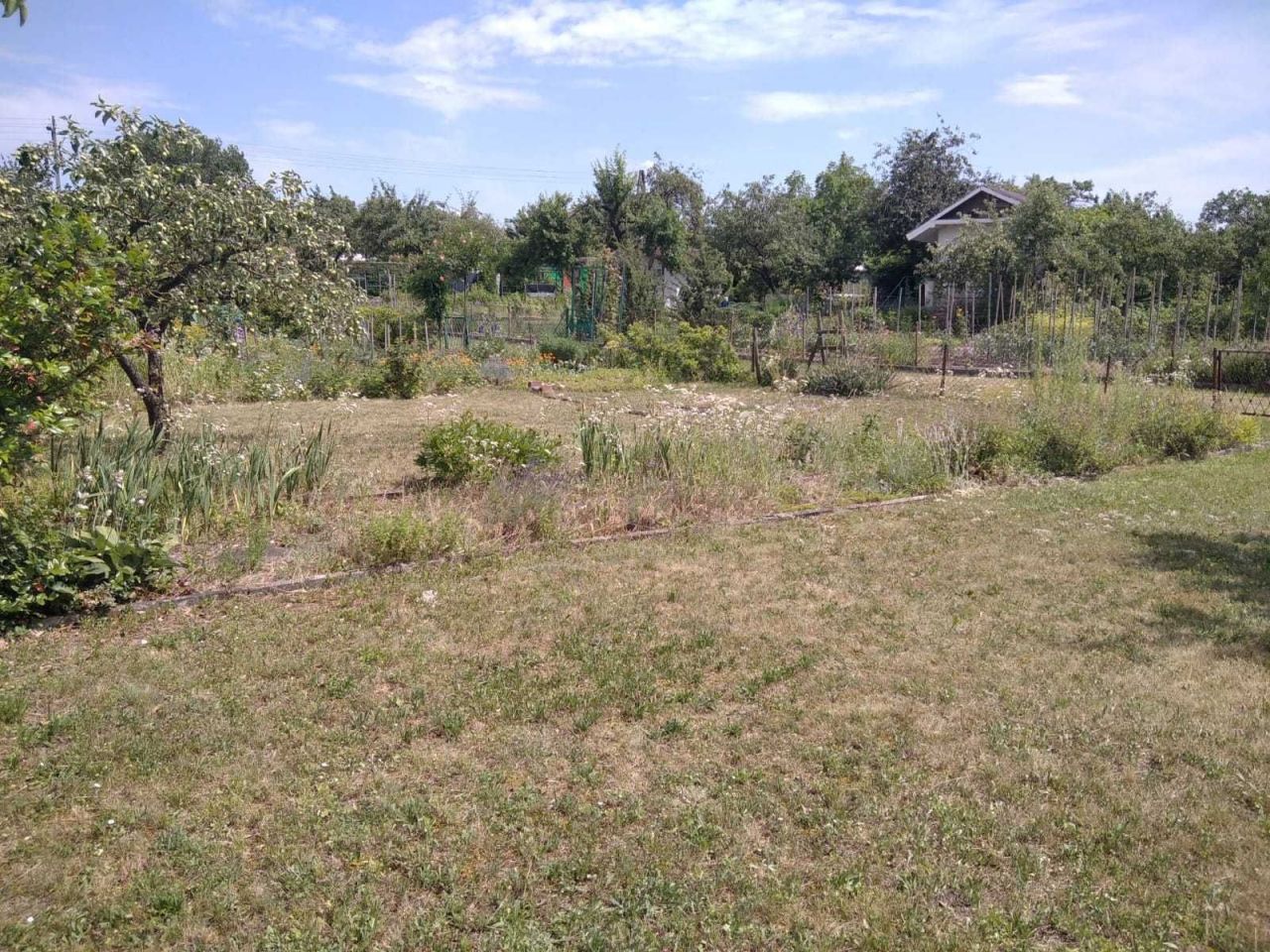 Działka rod Opole, ul. Luboszycka. Zdjęcie 3