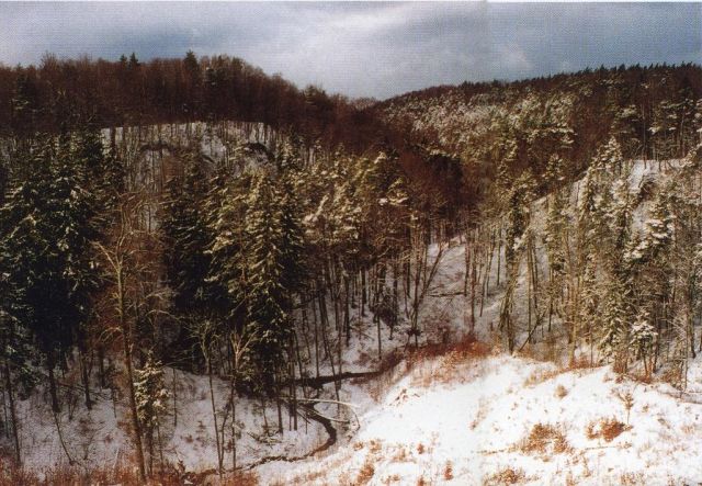 dom wolnostojący, 6 pokoi Kadyny. Zdjęcie 20