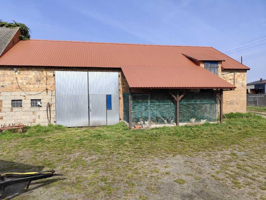 Działka rolno-budowlana Lgiń. Zdjęcie 1