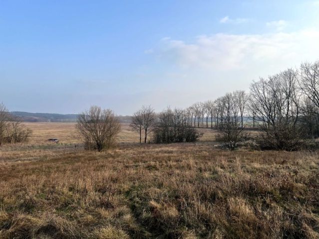 Działka budowlana Drzeniów. Zdjęcie 1
