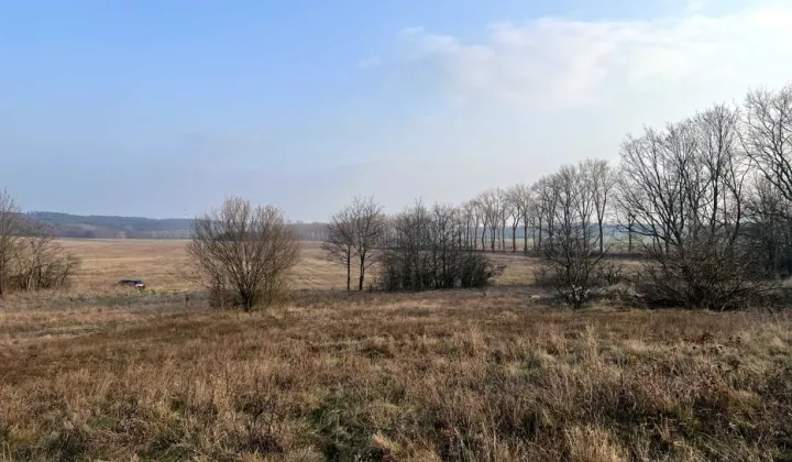 Działka budowlana Drzeniów