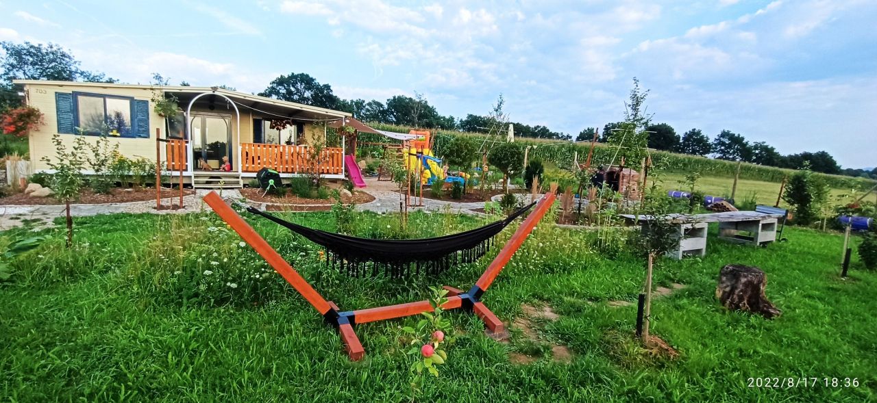 Działka siedliskowa Grodziszcze. Zdjęcie 24