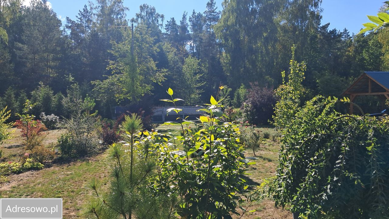 siedlisko, 1 pokój Wólka Szczawińska. Zdjęcie 17