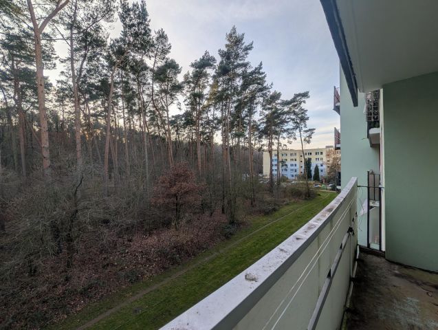 Mieszkanie 3-pokojowe Police, ul. Leopolda Okulickiego. Zdjęcie 1