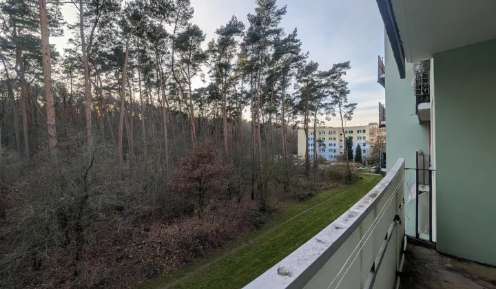 Mieszkanie 3-pokojowe Police, ul. Leopolda Okulickiego