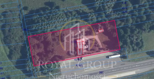 Działka Chojno Nowe Pierwsze. Zdjęcie 3