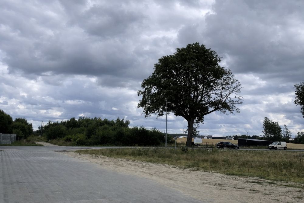 Działka budowlana Dobrzewino. Zdjęcie 2