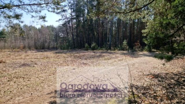 Działka budowlana Kąty. Zdjęcie 6