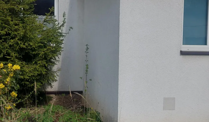 dom wolnostojący, 1 pokój Dąbrowa Górnicza Reden , ul. Twarda