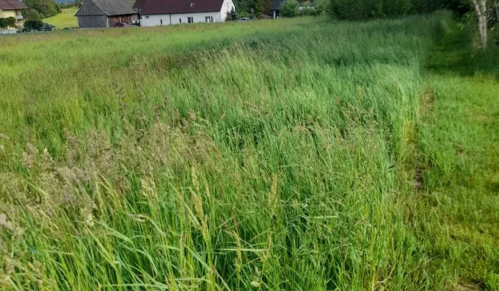 Działka budowlana Inwałd Korcza