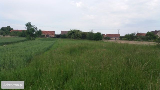 Działka rolno-budowlana Ciepielowice, ul. Dębowa. Zdjęcie 1