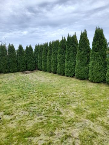 Działka rod Przasnysz, ul. Baranowska. Zdjęcie 1