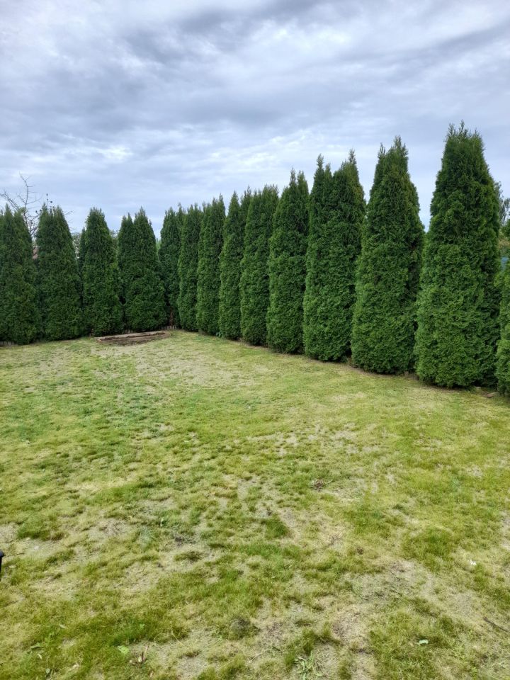 Działka rod Przasnysz, ul. Baranowska