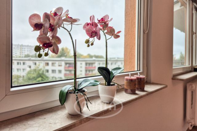 Mieszkanie 4-pokojowe Wrocław Fabryczna, ul. Strzegomska. Zdjęcie 4