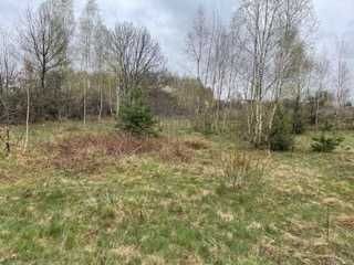 Działka budowlana Korzyce. Zdjęcie 4