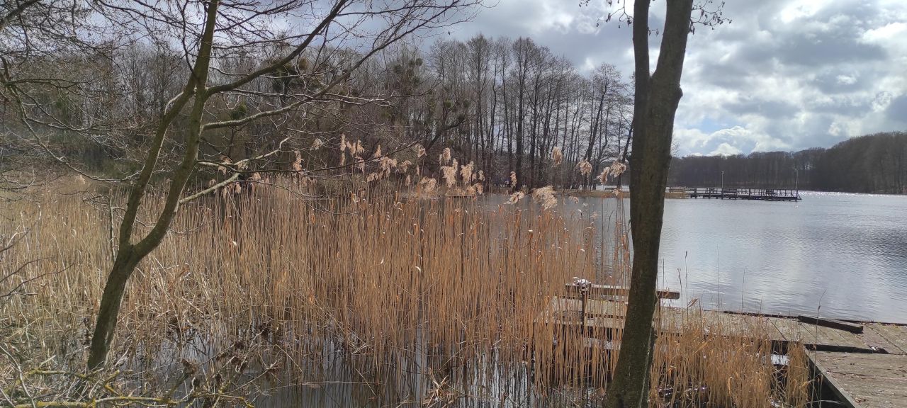Działka budowlana Orle. Zdjęcie 2