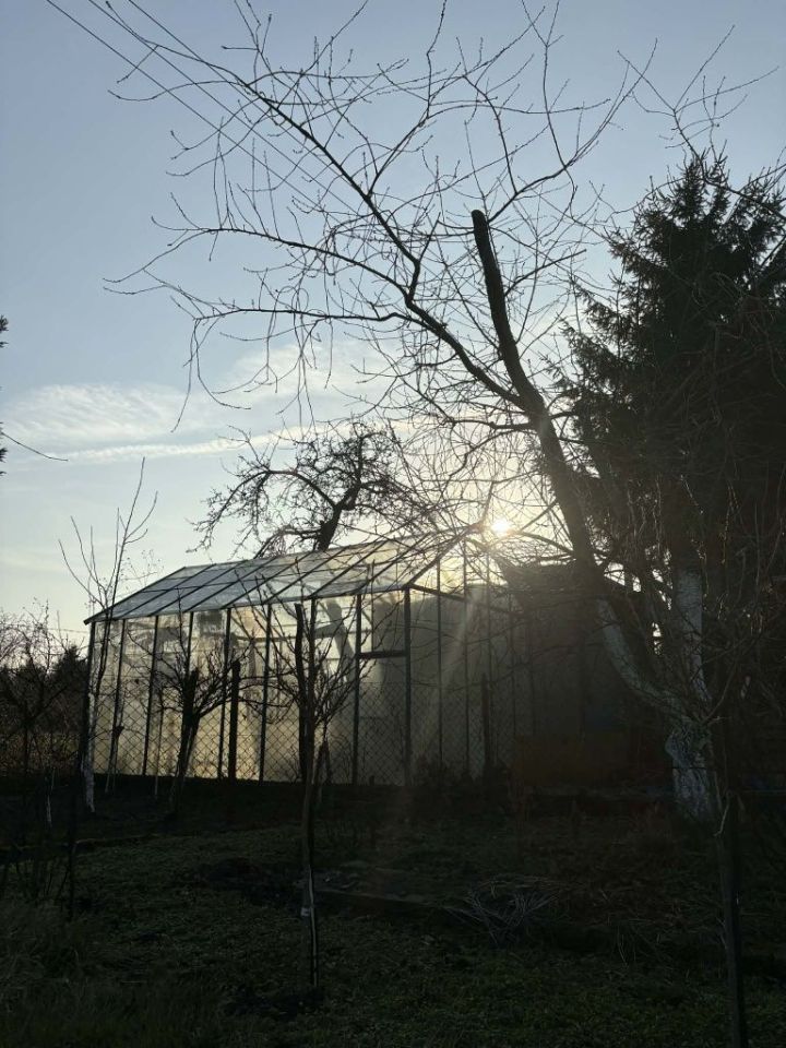 Działka rod Toruń, ul. Marii Skłodowskiej-Curie. Zdjęcie 6