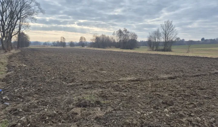 Działka rolna Szczytniki