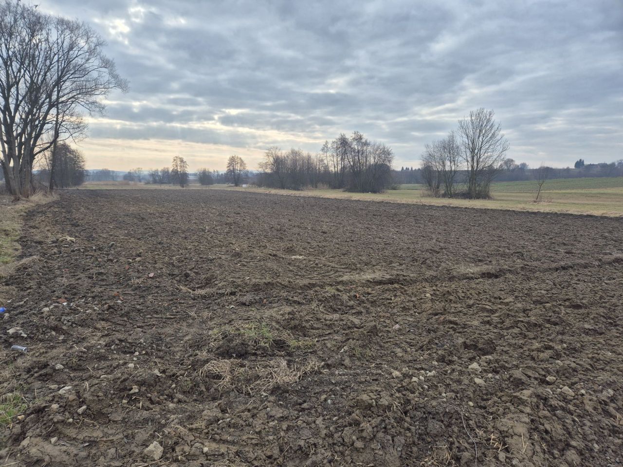 Działka rolna Szczytniki. Zdjęcie 1