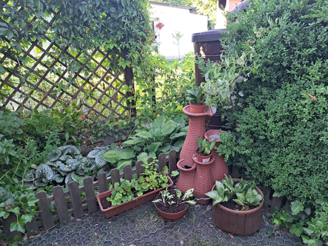 Działka rod Zabrze Biskupice, ul. Wojciecha Drzymały. Zdjęcie 7