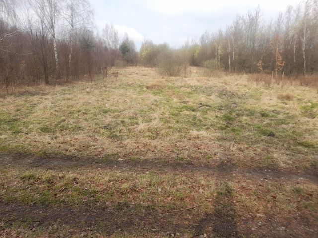 Działka Kozłowiec. Zdjęcie 1