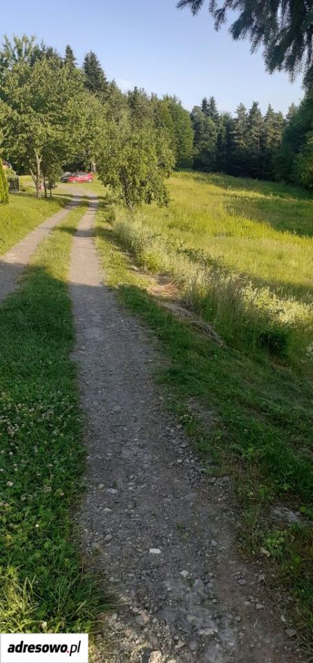 Działka rolna Jastrzębia Łazy. Zdjęcie 2
