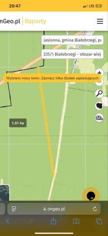 Działka leśna Jasionna. Zdjęcie 1