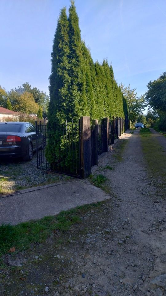 Działka rekreacyjna Szczecin Bukowo, ul. Szosa Polska. Zdjęcie 4