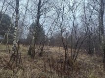 Działka rolno-budowlana Stawno. Zdjęcie 1