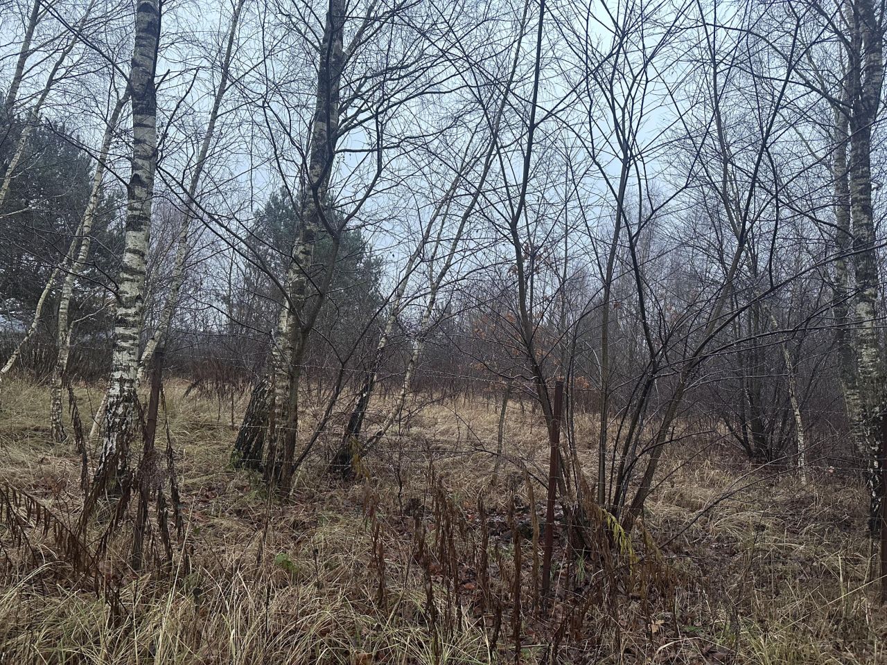 Działka rolno-budowlana Stawno. Zdjęcie 2