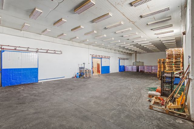 Hala/magazyn Ołtarzew, ul. Poznańska. Zdjęcie 10