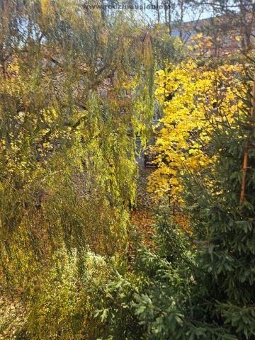 Mieszkanie 2-pokojowe Kraków Krowodrza, ul. Zdrowa. Zdjęcie 5